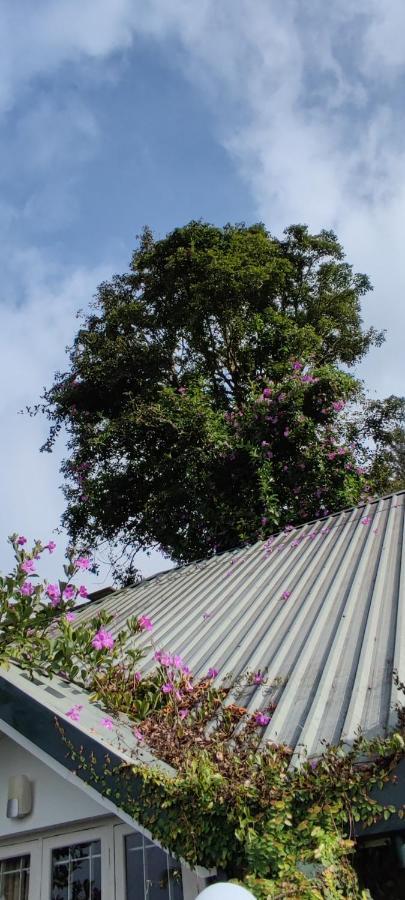 Munnar Tea Hills Resort - Mthr Eksteriør billede