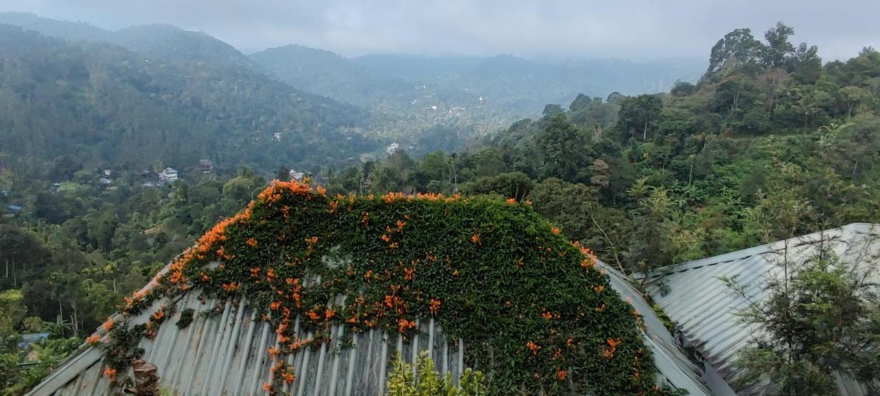 Munnar Tea Hills Resort - Mthr Eksteriør billede