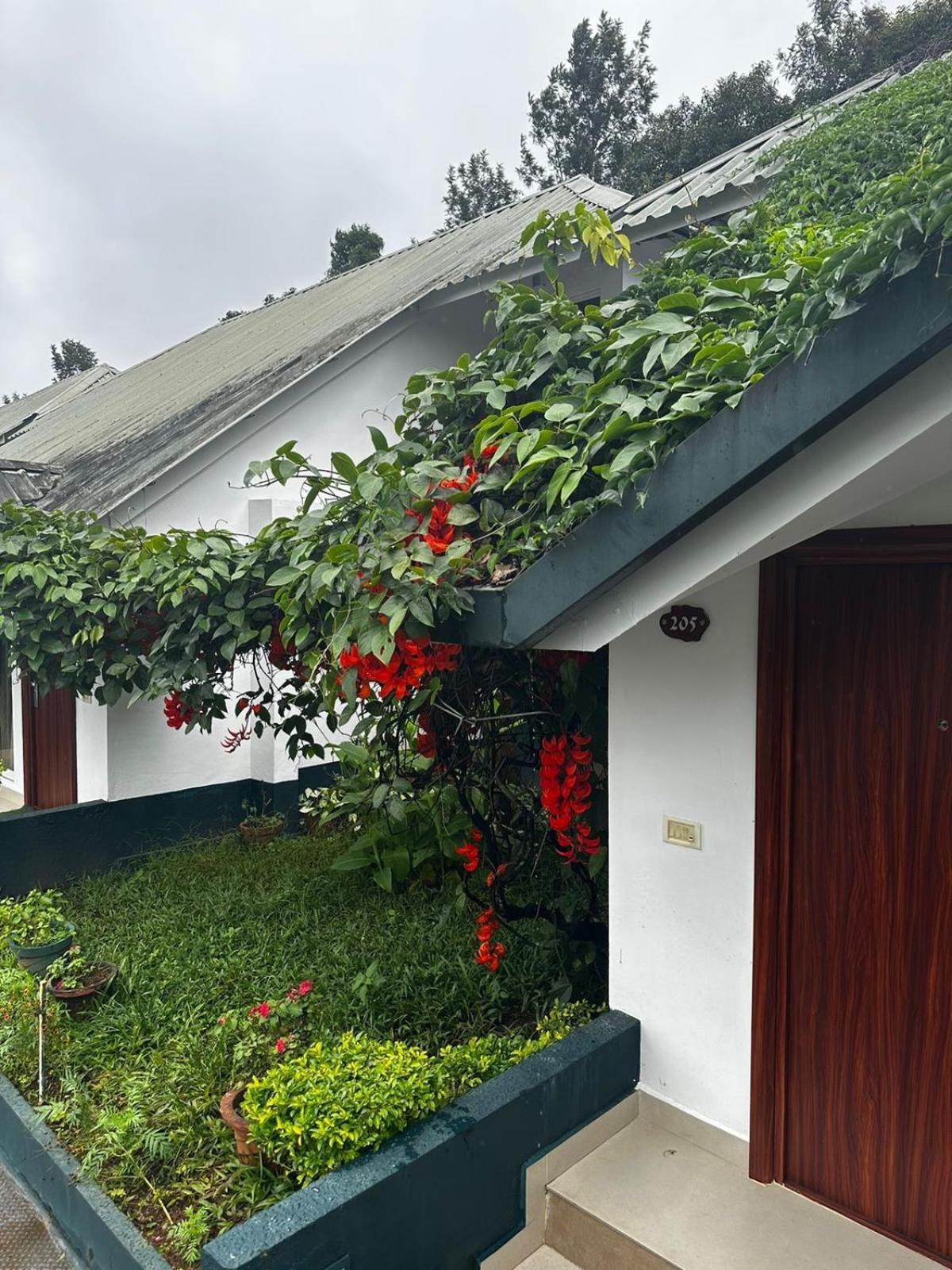 Munnar Tea Hills Resort - Mthr Eksteriør billede