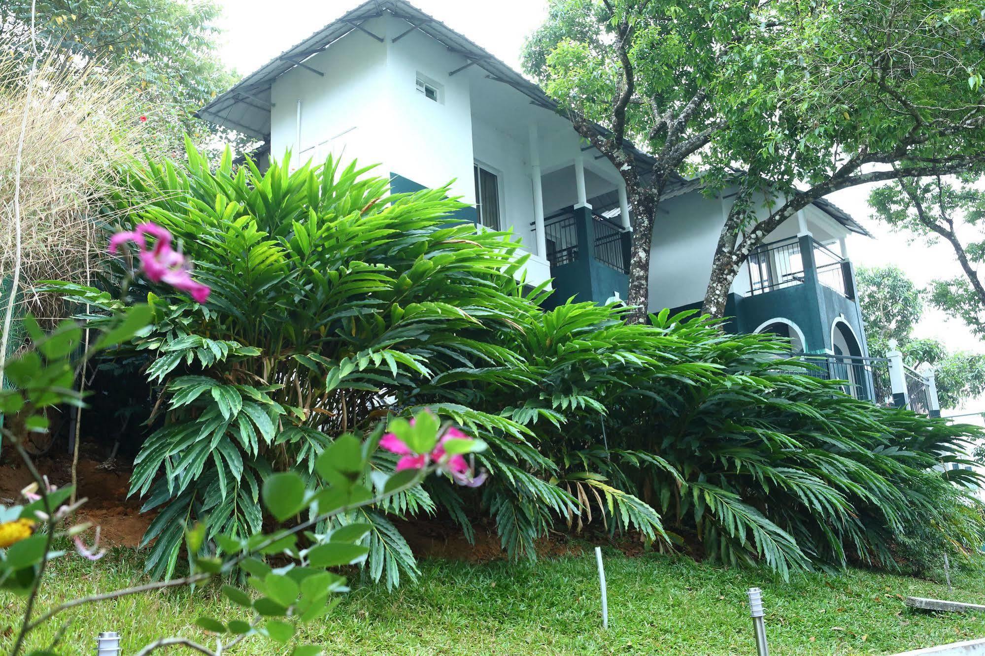Munnar Tea Hills Resort - Mthr Eksteriør billede